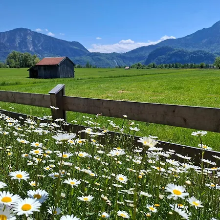 Bergblick - Isabella Mayr *