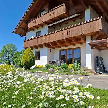 Bergblick - Isabella Mayr * Unterau